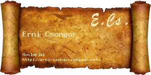 Erni Csongor névjegykártya
